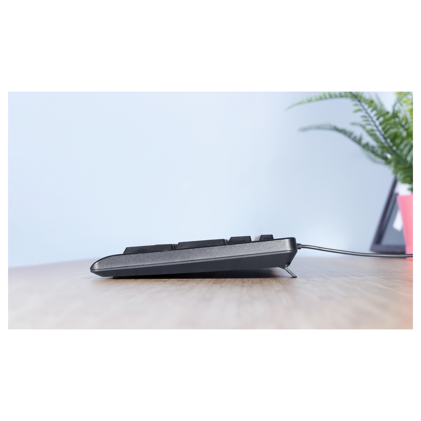 Buy TRUST TK-150 Tastatur. Deutsches QWERTZ - Layout. USB-Anschluss in Cyprus, Nicosia, Limassol, Larnaka, Pafos