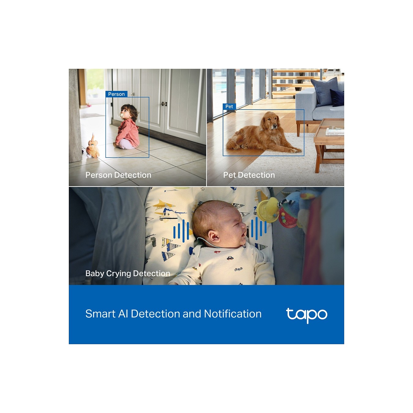 Buy TP-LINK Netzwerkkamera Tapo C260 - Netzwerkkamera in Cyprus, Nicosia, Limassol, Larnaka, Pafos