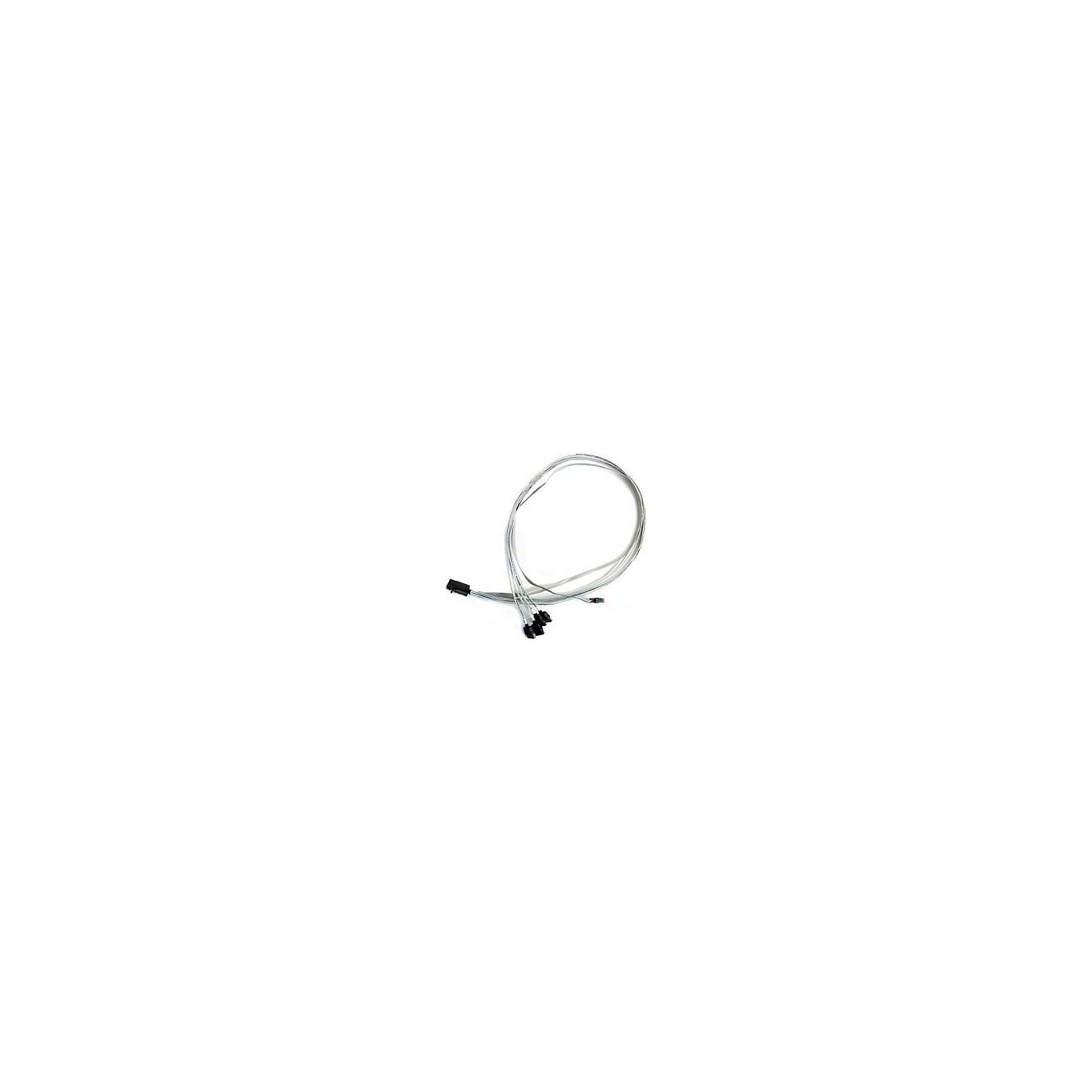 Buy SAS SFF-8643 to 4x SATA 0.8m Adaptec in Cyprus, Nicosia, Limassol, Larnaka, Pafos