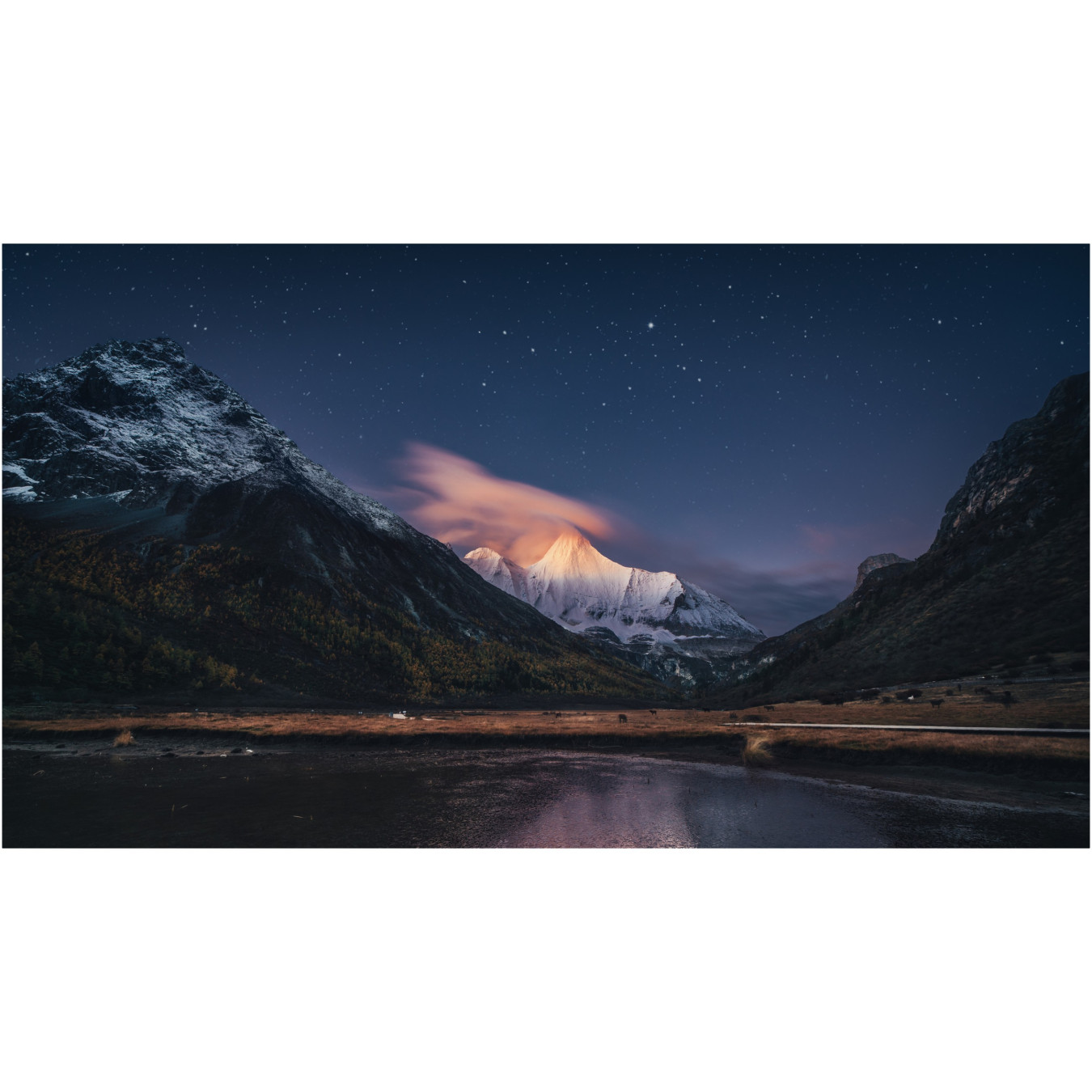 Samsung VM55C-R - 55" (139.7 cm) FHD IPS Digital Signage Display, 24/7, 500 cd/m², HDMI/DP/DVI/USB/LAN, Black