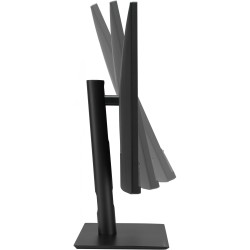 Buy ASUS ProArt PA32UCE - 31.5 Inch 4K UHD IPS Monitor, DisplayHDR 600, USB-C PD... in Cyprus, Nicosia, Limassol, Larnaka, Pafos