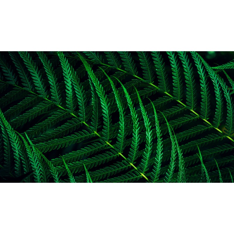 Buy Philips 24B2G5301 - 23.8in (60.5cm) IPS FHD Monitor - USB-C PD100W, HDMI & D... in Cyprus, Nicosia, Limassol, Larnaka, Pafos