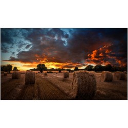 Buy Samsung Smart Signage VM55B-U - 55" Full HD LED Commercial Display - Black, ... in Cyprus, Nicosia, Limassol, Larnaka, Pafos