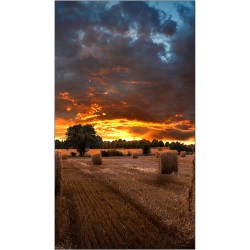 Buy Samsung Smart Signage VM55B-U - 55" Full HD LED Commercial Display - Black, ... in Cyprus, Nicosia, Limassol, Larnaka, Pafos