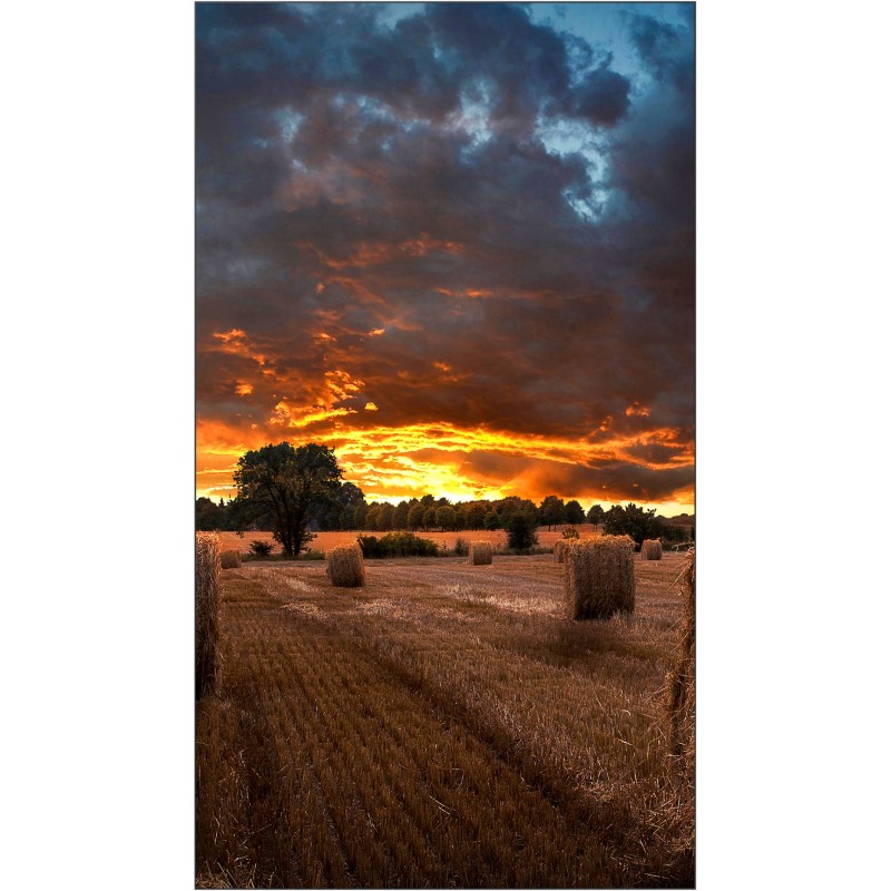 Buy Samsung Smart Signage VM55B-U - 55" Full HD LED Commercial Display - Black, ... in Cyprus, Nicosia, Limassol, Larnaka, Pafos