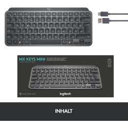 Logitech MX Keys Mini Graphite German QWERTZ LED Backlit Wireless - 920-010559 (Boxed) — Buy in Cyprus with Fast Delivery
