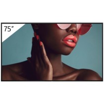 FW-75BZ40L 75INCH PRO - FW-75BZ40L - 75 inch, 4K UHD, IPS, Android, Black — Buy in Cyprus with Fast Delivery