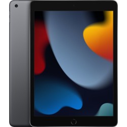 Buy Apple iPad 10.2 Wi-Fi 256GB Space Gray 9th Gen - A13 Bionic in Cyprus, Nicosia, Limassol, Larnaka, Pafos