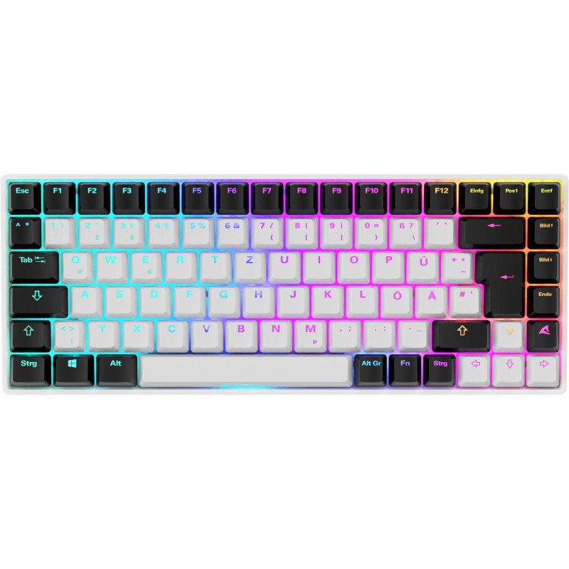 Buy Sharkoon SKILLER SGK50 S3 - SGK50 S3 - DE Layout, White, Gateron Brown in Cyprus, Nicosia, Limassol, Larnaka, Pafos