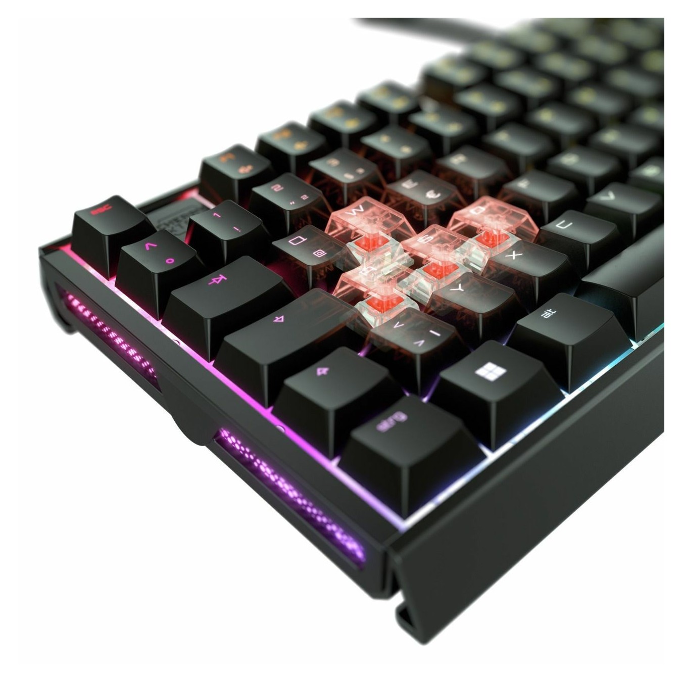 CHERRY XTRFY TAS MX 3.1 RGB Corded - MX2A - Brown switches — Buy in Cyprus with Fast Delivery