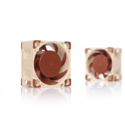 Buy 40mm Noctua NF-A4X20 PWM - NF-A4X20 PWM - 40x40x20mm, 4-pin PWM in Cyprus, Nicosia, Limassol, Larnaka, Pafos