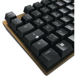 Buy Cherry Keyboard KC 200 MX MX2A Silent Red - KC 200 MX - Black Bronze, Silent... in Cyprus, Nicosia, Limassol, Larnaka, Pafos