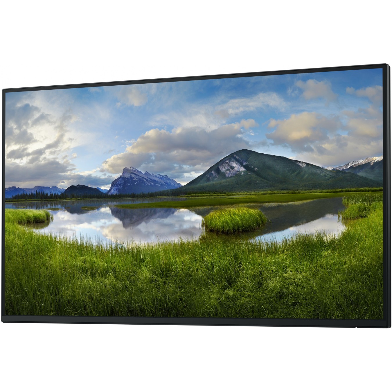 Dell P2725H - 27-inch IPS Monitor - Flat, FHD 1920x1080, 5ms, 100Hz, HDMI/DP/VGA/USB-C, Black & Silver