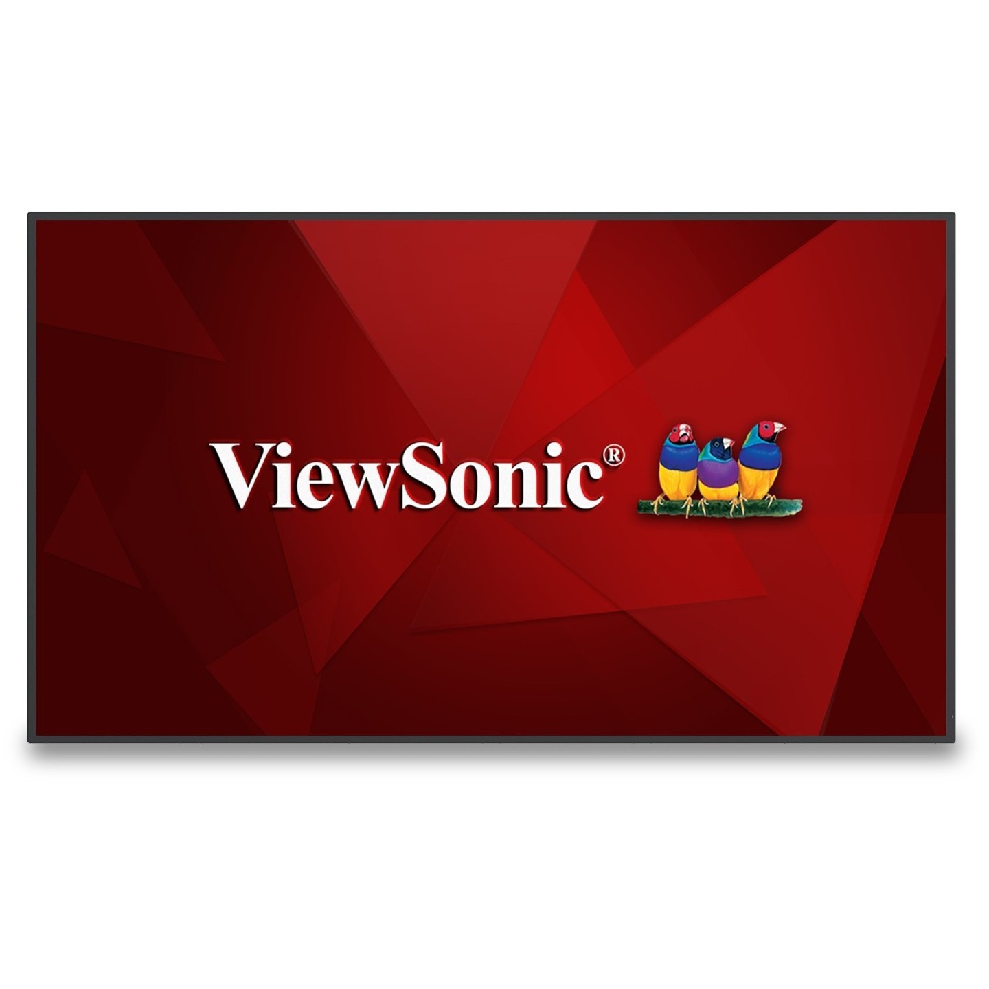 ViewSonic Monitor - CDE5530 - (55-inch, 16:9, HDMI, USB-C, LAN, 500 nits) — Buy in Cyprus with Fast Delivery