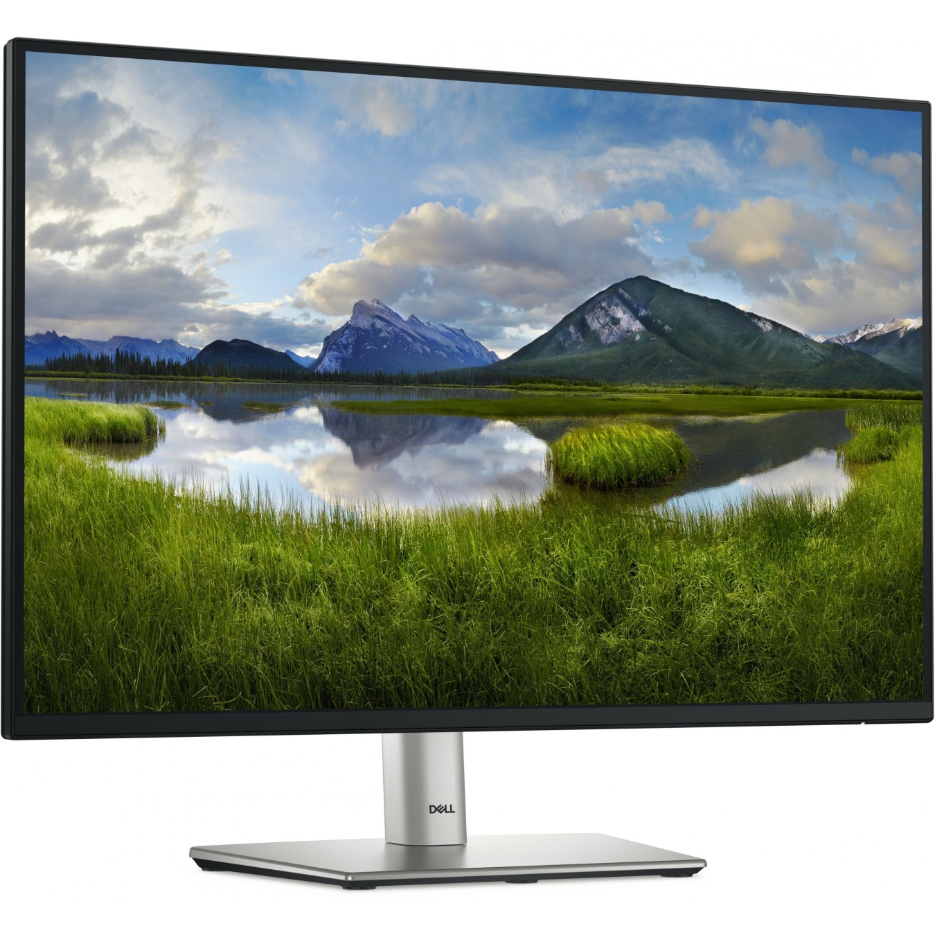 Dell 24-inch IPS Monitor - P2425E - 1920x1200, 16:10, Flat, 100Hz, 5ms, HDMI DP USB-C, Black/Silver