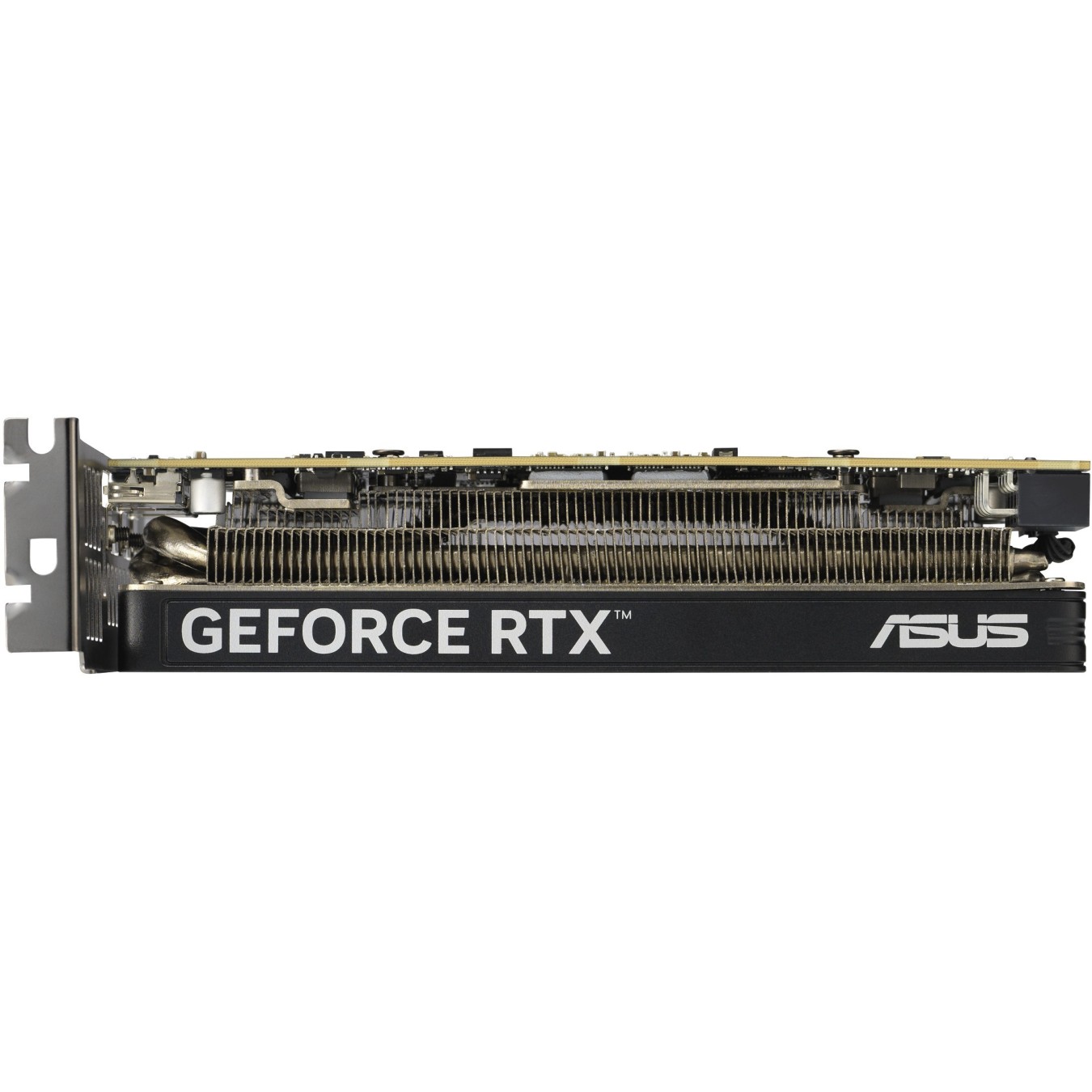 RTX 5060 OC 8GB - ASUS LP BRK GDDR7 2xHDMI 1xDP — Buy in Cyprus with Fast Delivery