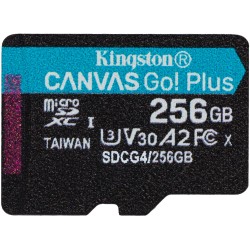 Buy CARD KINGSTON 256GB microSDXC Canvas Go Plus Gen4 200MB/s A2 U3 V30 Card + A... in Cyprus, Nicosia, Limassol, Larnaka, Pafos