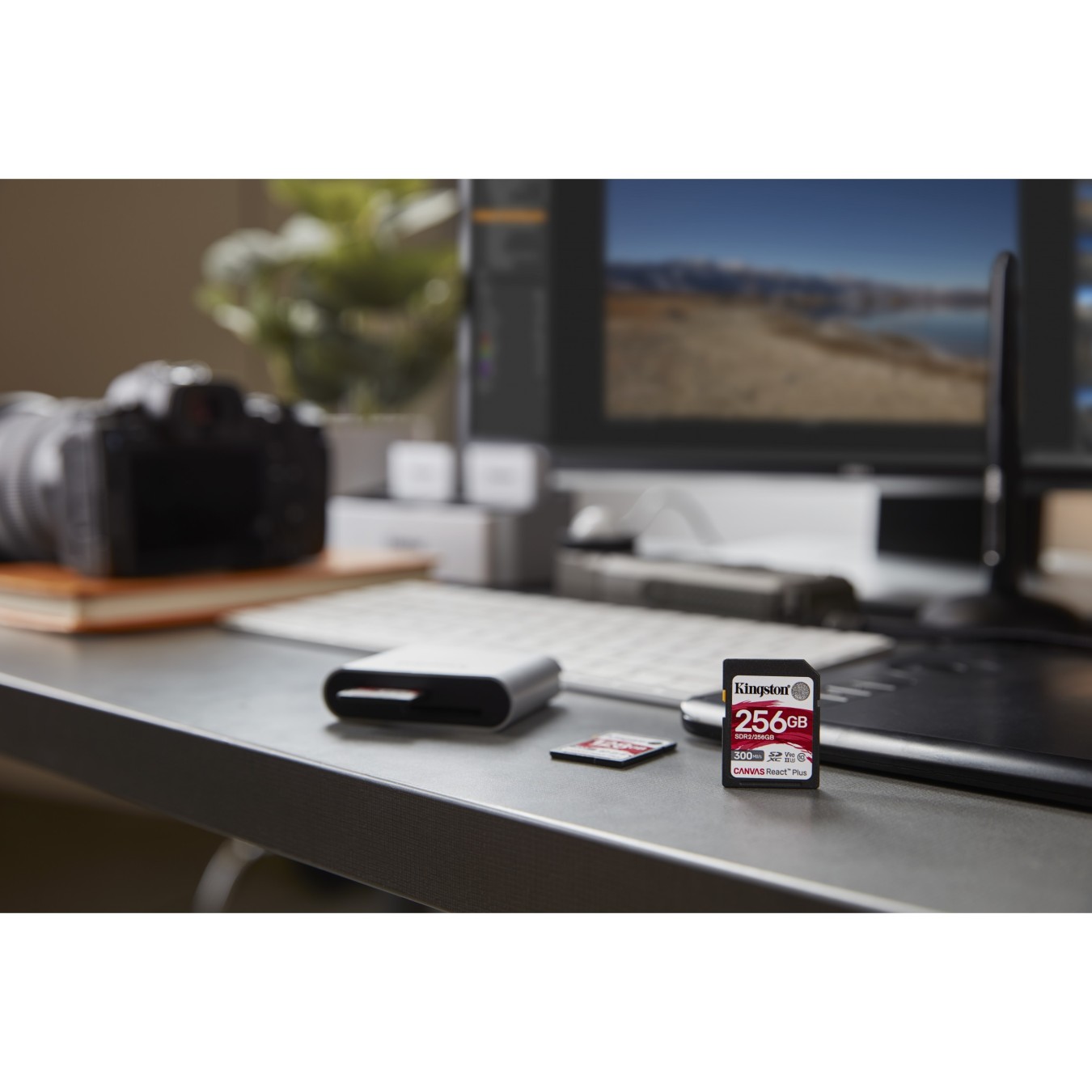 Kingston Canvas React Plus XC microSDXC - Canvas React Plus XC - 256GB, 300 MB/s — Buy in Cyprus with Fast Delivery