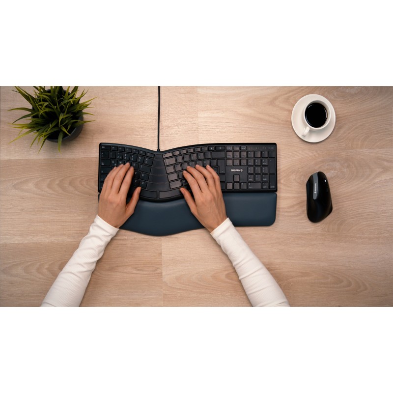 Buy Cherry Keyboard - JK-4500DE-2 - Black, QWERTZ DE layout in Cyprus, Nicosia, Limassol, Larnaka, Pafos