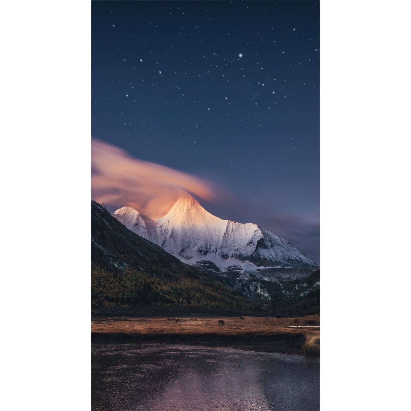 Samsung Smart Signage VM55B-R - Flat VA panel, 4K UHD, 60 Hz — Buy in Cyprus with Fast Delivery