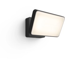 Philips Hue White Welcome Floodlight (Black, 2300 lm) — Buy in Cyprus with Fast Delivery