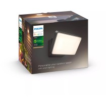 Philips Hue White Welcome Floodlight (Black, 2300 lm) — Buy in Cyprus with Fast Delivery