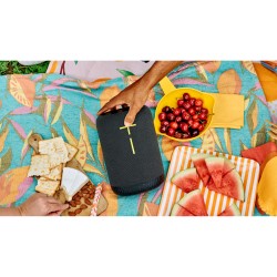 Buy ULTIMATE EARS EPICBOOM CHARCOAL - Portable Bluetooth Speaker (Charcoal) in Cyprus, Nicosia, Limassol, Larnaka, Pafos