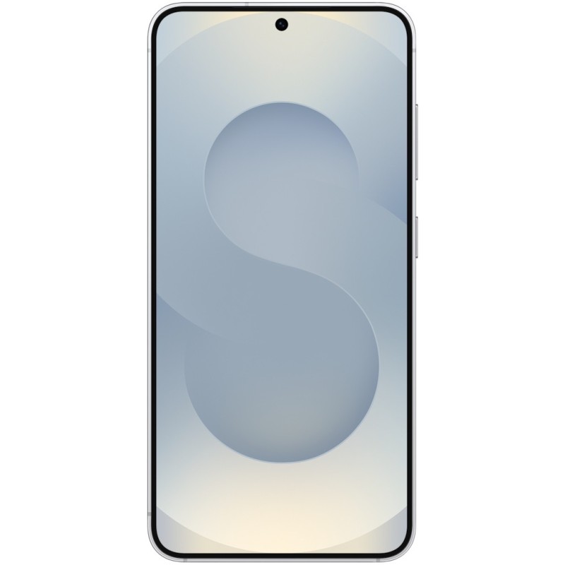 Buy Samsung Galaxy S25 5G Enterprise Edition - S25 - Silver Shadow, 12GB RAM, 25... in Cyprus, Nicosia, Limassol, Larnaka, Pafos