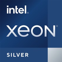 Intel Xeon Silver Server CPU - S4677 - (Tray packaging) — Buy in Cyprus with Fast Delivery