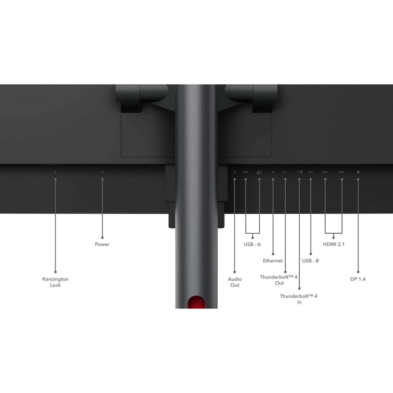 Lenovo ThinkVision P49w-30 - 49-inch DQHD UltraWide Monitor with HDMI, DP, USB-C — Buy in Cyprus with Fast Delivery