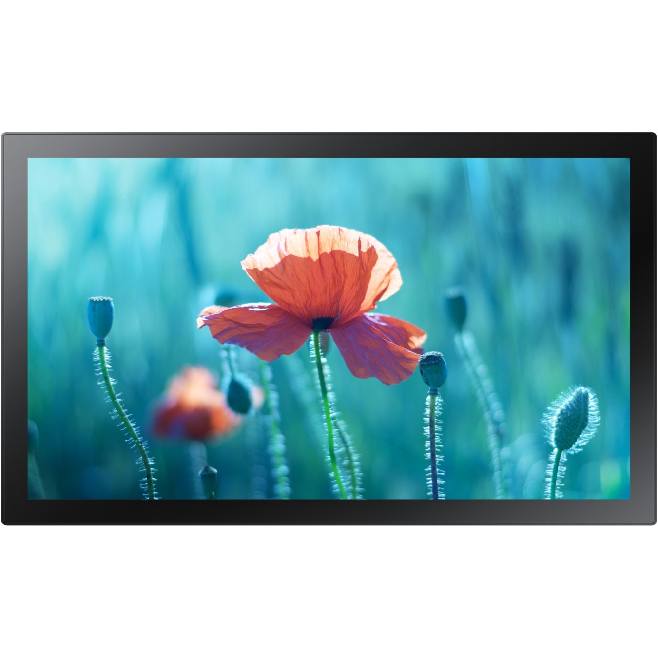 Samsung Interactive Display - QB13R-T - 13.3in FHD Touch ADS, USB HDMI, Wi-Fi, Tizen, Black — Buy in Cyprus with Fast Delivery