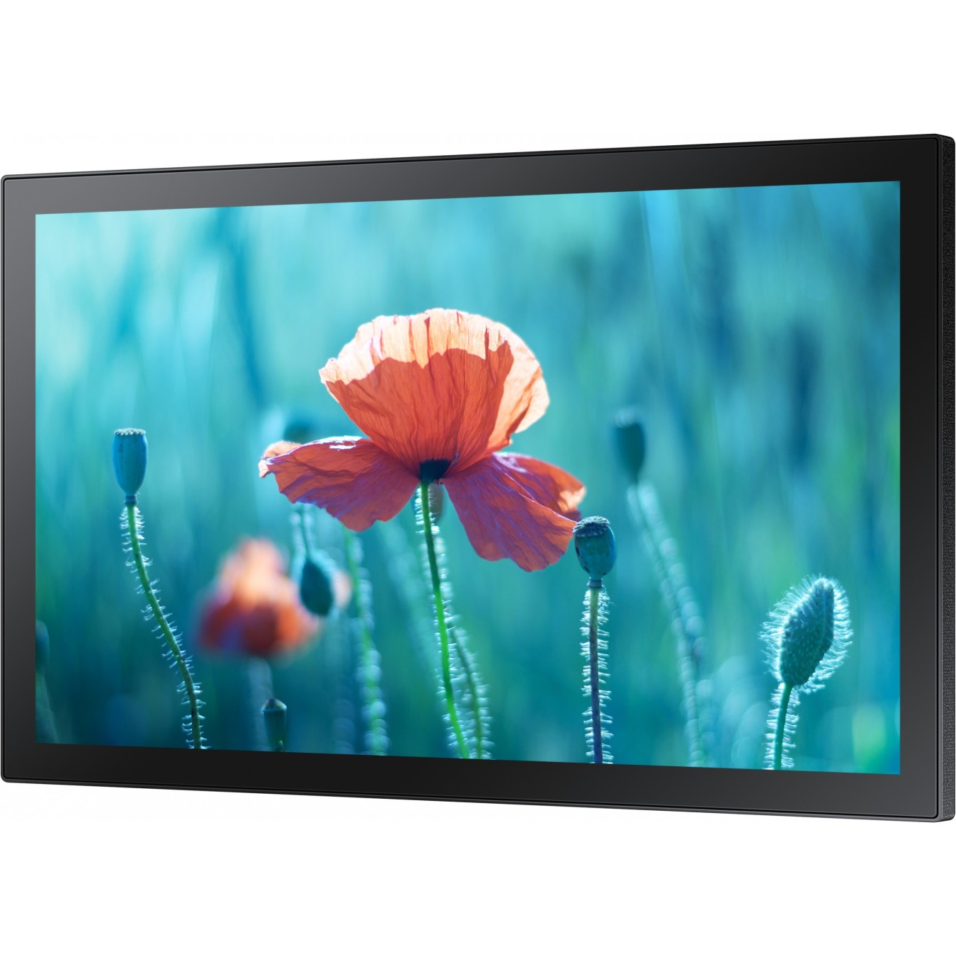 Samsung Interactive Display - QB13R-T - 13.3in FHD Touch ADS, USB HDMI, Wi-Fi, Tizen, Black — Buy in Cyprus with Fast Delivery