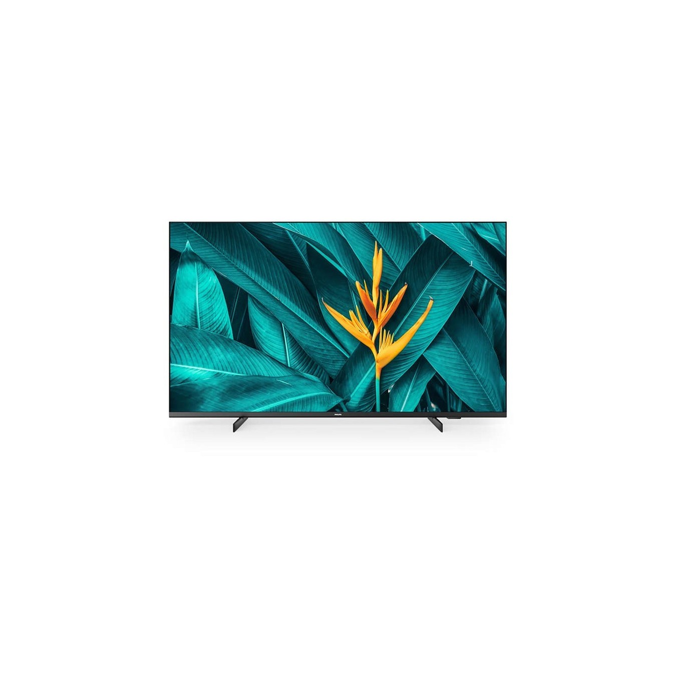PHILIPS Hotel TV - 50HFL5214U - 50-inch MediaSuite hospitality display — Buy in Cyprus with Fast Delivery