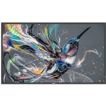 PHILIPS Q-Line - 55BDL3511Q - IPS, 4K UHD, Flat, 60Hz, 400 cd/m2 (Speditionsversand) — Buy in Cyprus with Fast Delivery